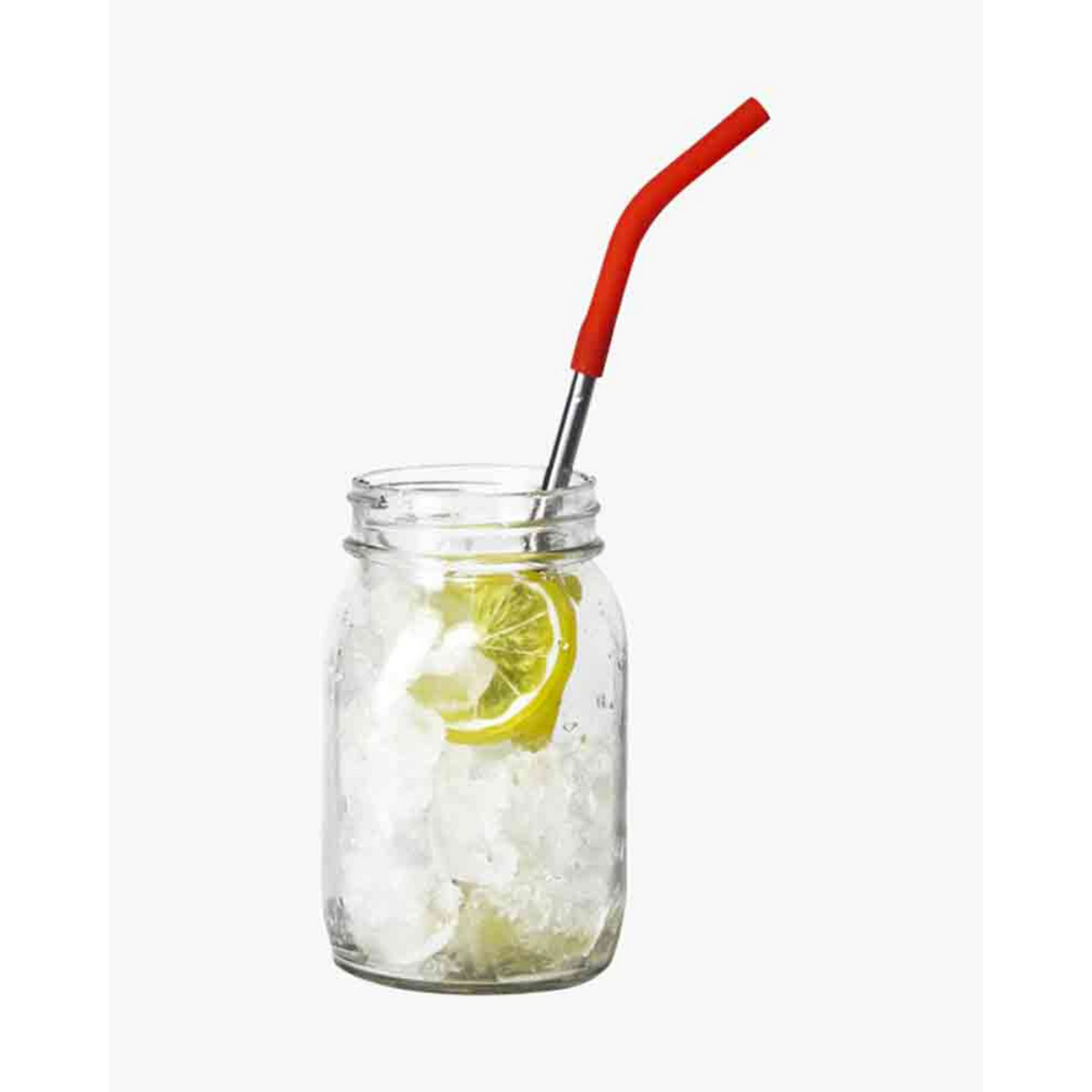 Reusable Stainless Steel and Silicone Straws